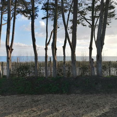 Mobilhome Neuf 2021 Vue Sur Mer 基伯龙 外观 照片